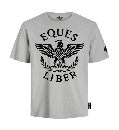 Schweres Unisex T-Shirt SPIRIT