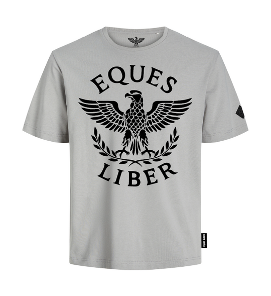 Schweres Unisex T-Shirt SPIRIT